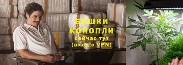 стафф Белокуриха