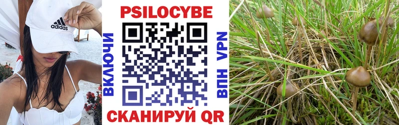 Псилоцибиновые грибы мицелий  Купить  Островной 